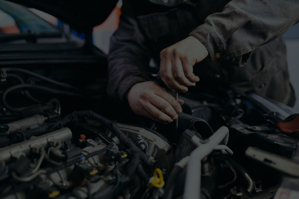 Walt & Deb's Lawn & Garden